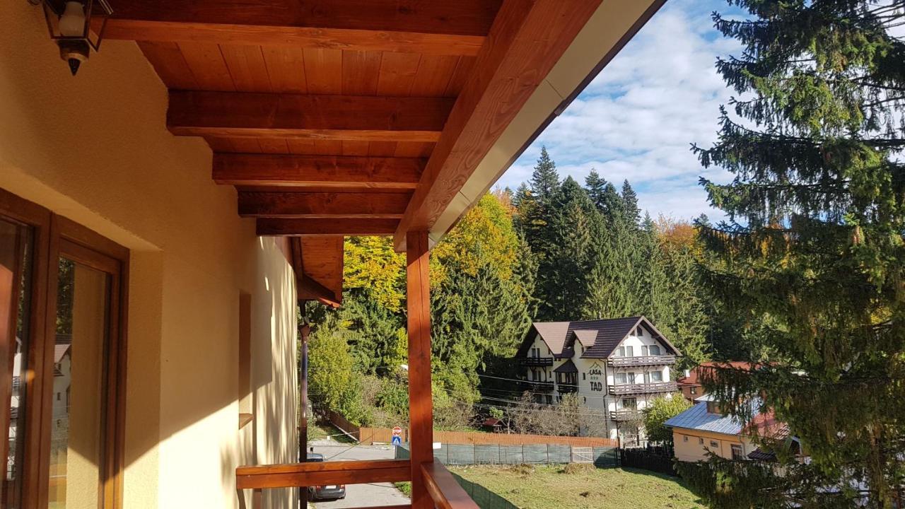 Apartament Lexannona Busteni ,lângă Pârtia Kalinderu Buşteni Exterior foto