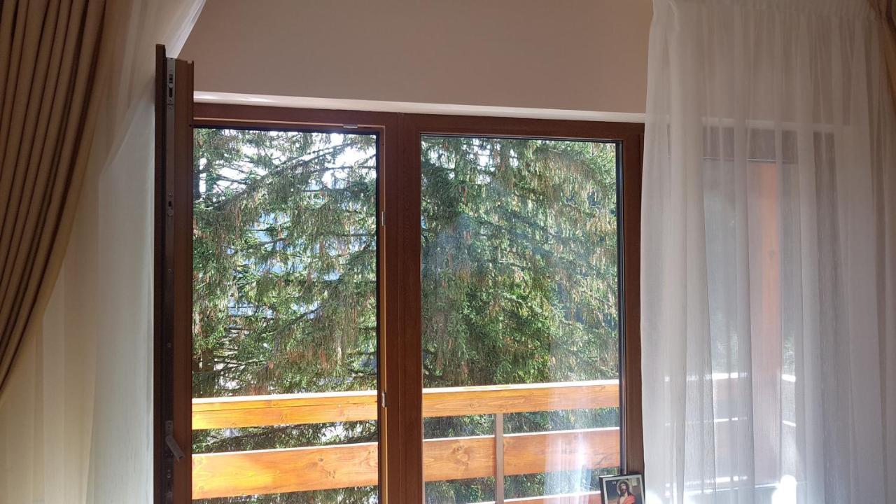 Apartament Lexannona Busteni ,lângă Pârtia Kalinderu Buşteni Exterior foto
