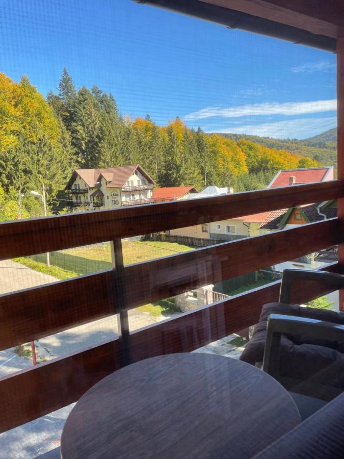 Apartament Lexannona Busteni ,lângă Pârtia Kalinderu Buşteni Exterior foto