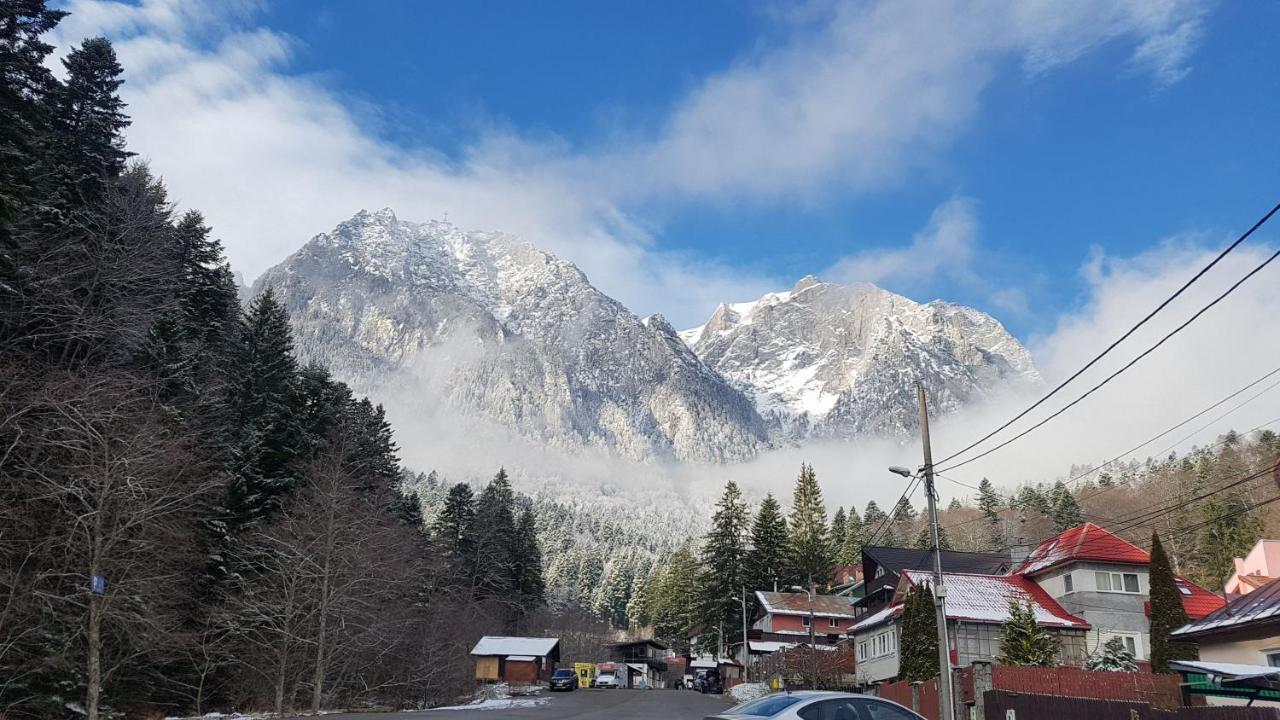 Apartament Lexannona Busteni ,lângă Pârtia Kalinderu Buşteni Exterior foto